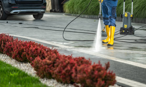 Best Pool Deck Cleaning  in Baxter Estates, NY
